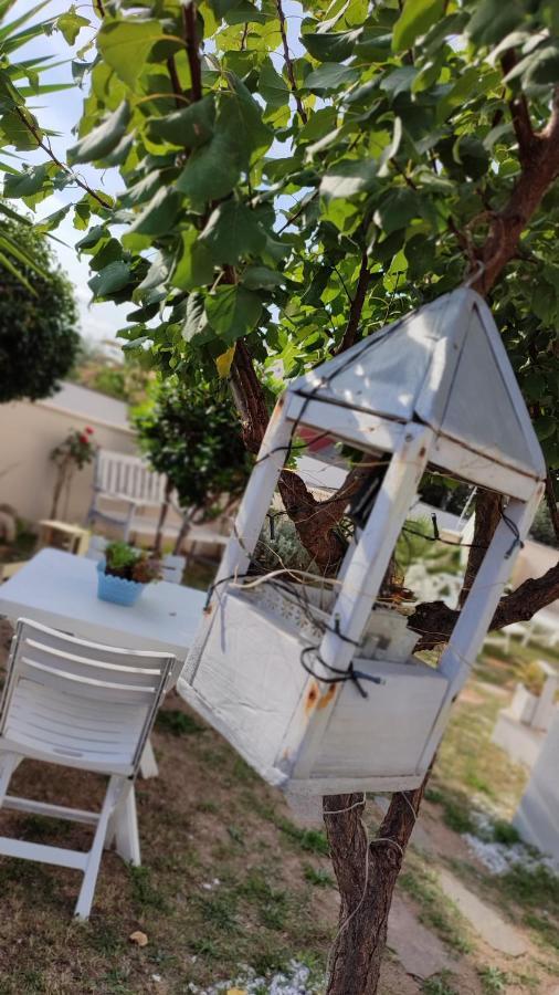 Casa Vacanze Όλμπια Εξωτερικό φωτογραφία
