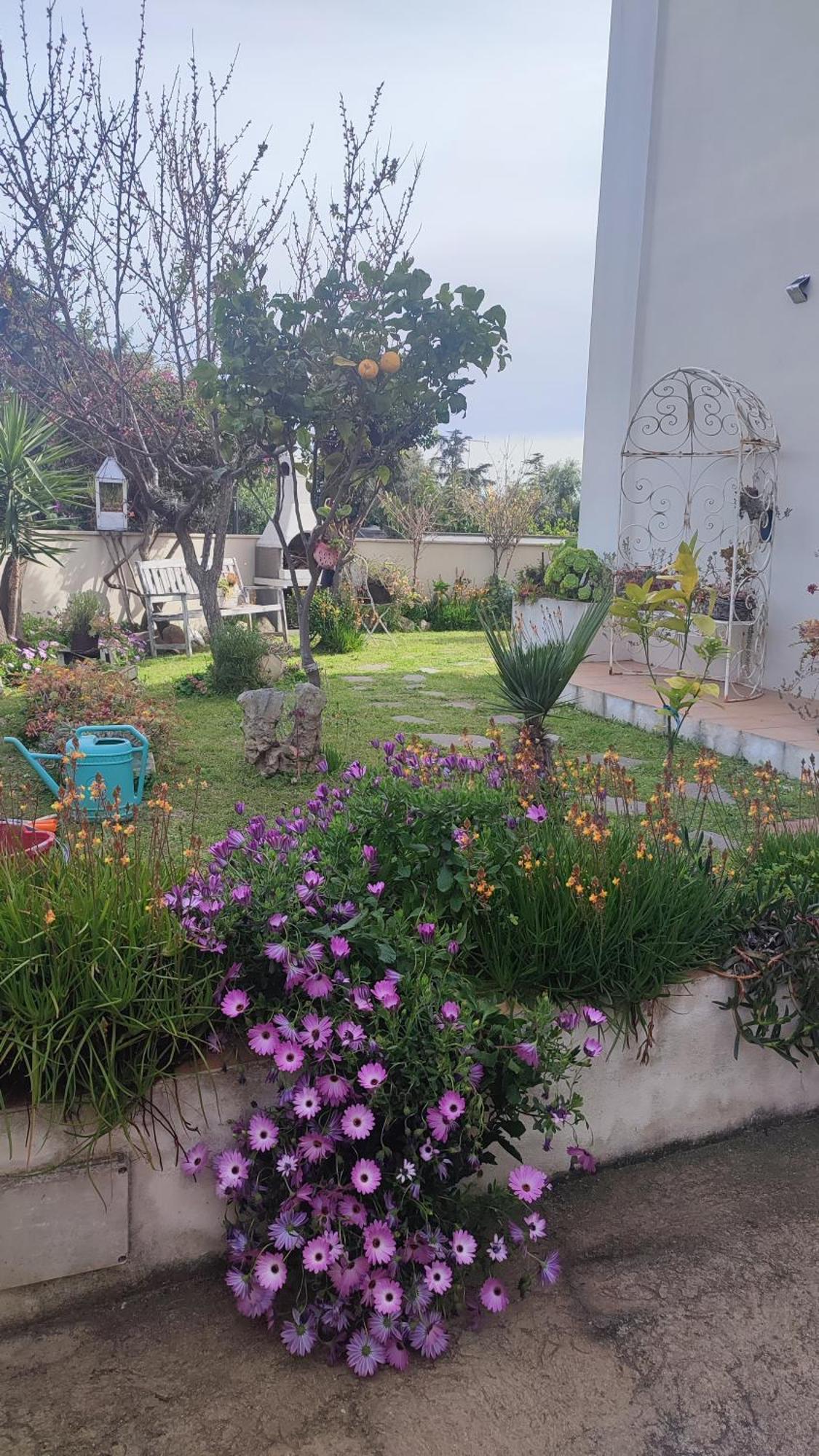 Casa Vacanze Όλμπια Εξωτερικό φωτογραφία